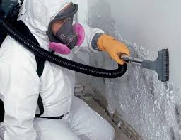 Best Black Mold Removal  in Rancho Viejo, TX